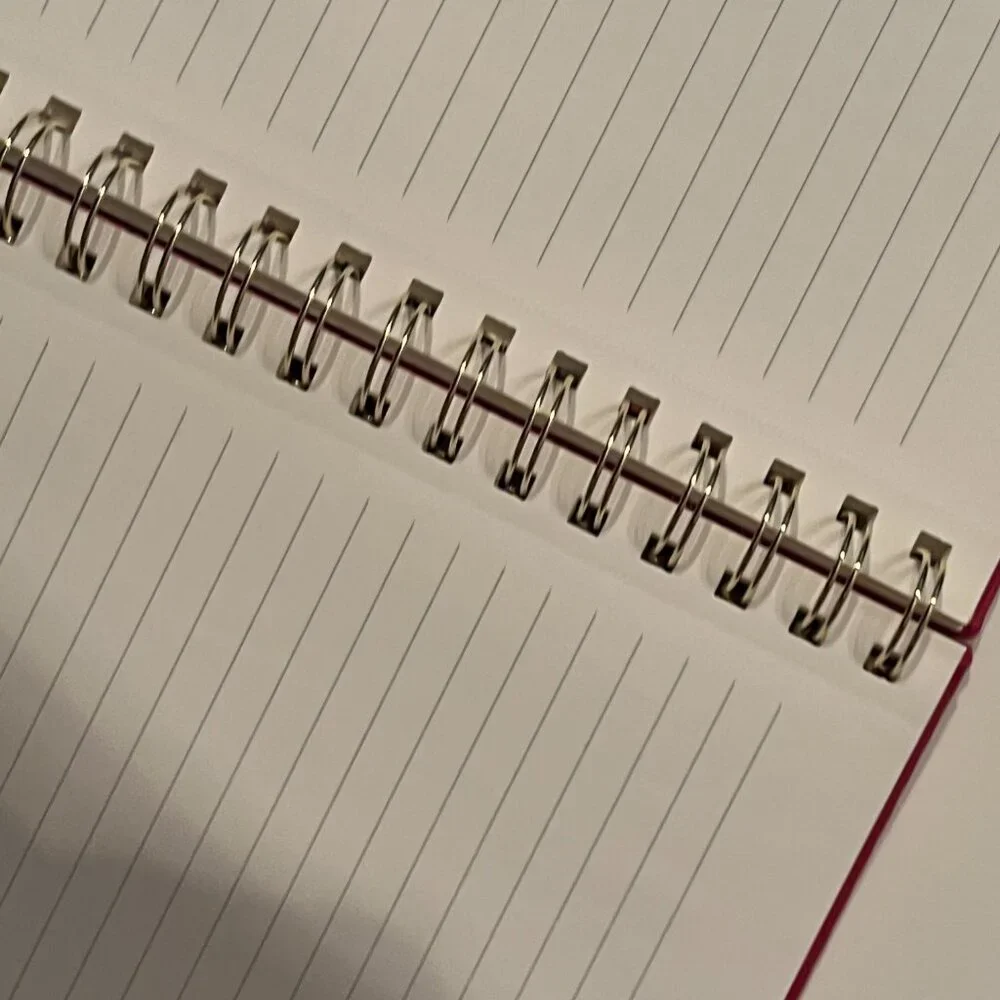 Lined Writing Journal Have a Good Day / Do Not Spoil it for Others (TWO) (new)